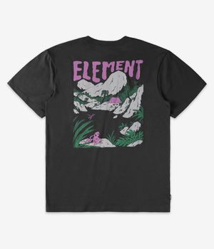 Element Lakeside T-shirt (off black)