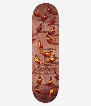 Anti Hero B.A. Dawn Of The Pigeon Shaped 8.8" Tavola da skateboard (multi)