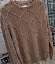 Dancer Fence Knit Sweatshirt (beige)