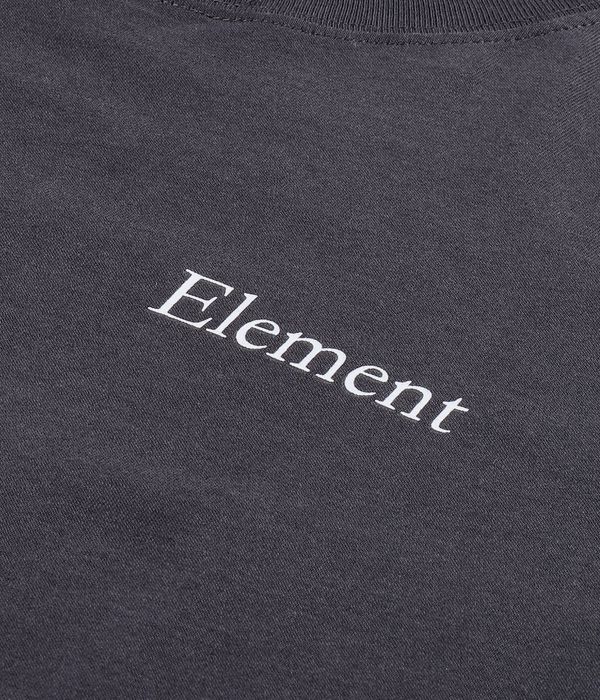 Element x Smokey Bear Family T-Shirty (off black)