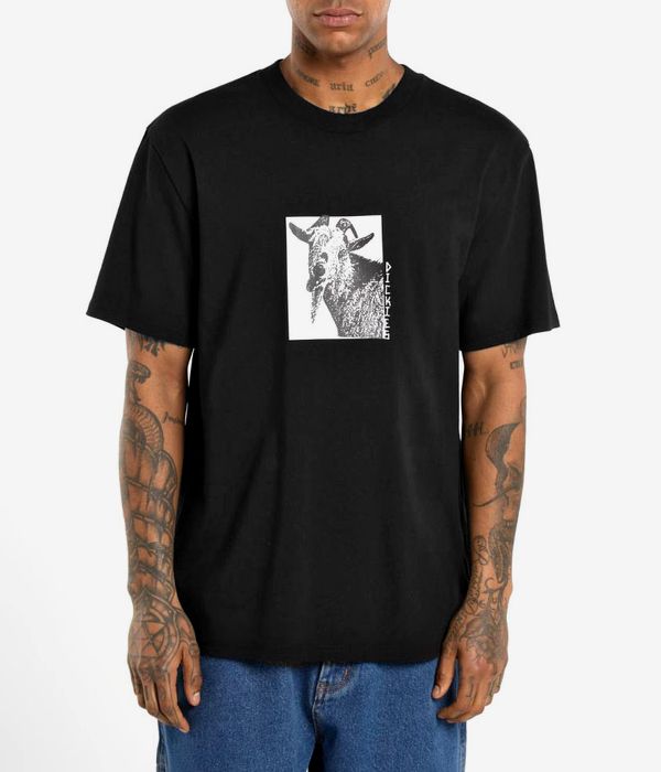 Dickies x Mike Anderson Graphik T-Shirt (black)