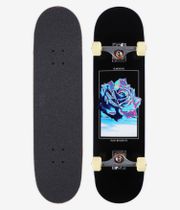 skatedeluxe Premium Rose 8" Complete-Board (black)
