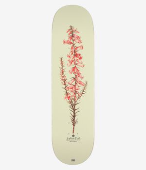 Passport Callum Pink Heath 8.25" Skateboard Deck (beige)