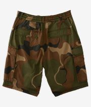DC Tundra Cargo Shorts (abstract camo)