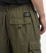 DC The Tundra Cargo Pants (ivy green)