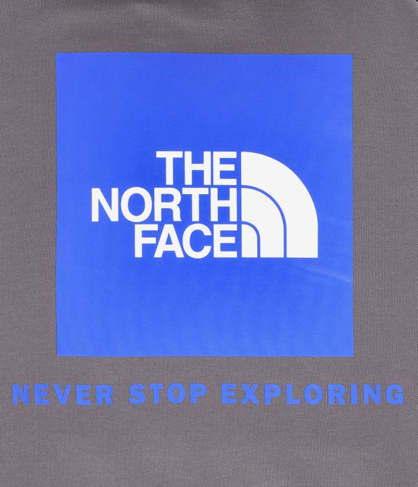 The North Face Raglan Redbox Hoodie (core logowear smoked pearl)