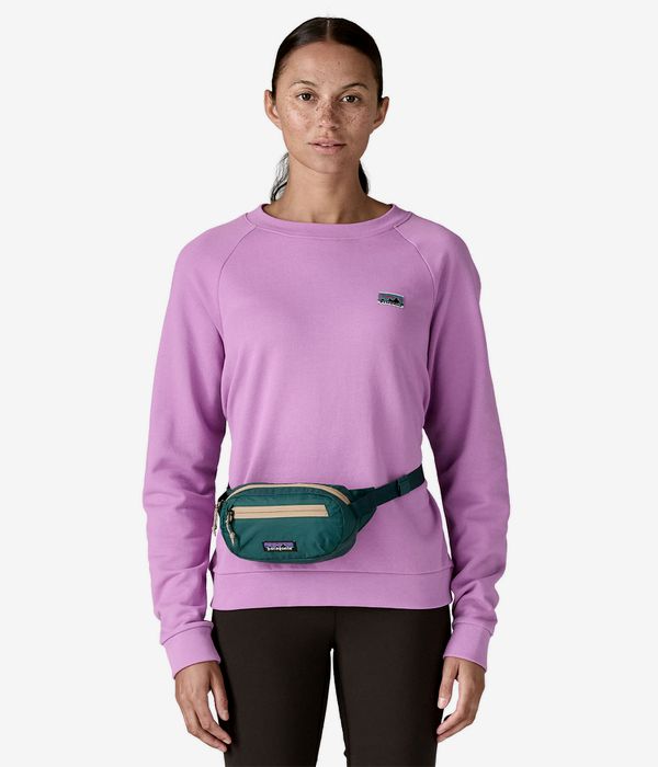 Patagonia Terravia Mini Hip Borsa 1L (cascade green)
