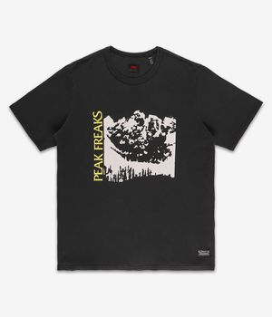 Levi's Skate Graphic T-Shirt (limelight peak freak multi)