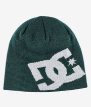 DC Big Star 2 Beanie (ponderosa pine)