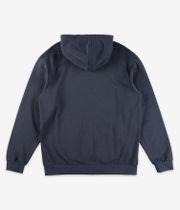 Iriedaily Mini Flag 2 Zip-Sweatshirt avec capuchon (dark jungle)