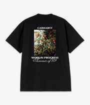 Carhartt WIP Warm Views Organic T-Shirt (black)