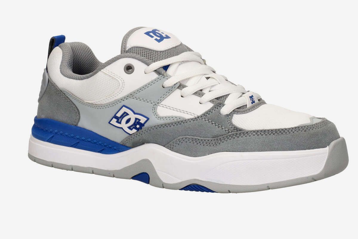 DC Ascend Shoes (white grey blue)