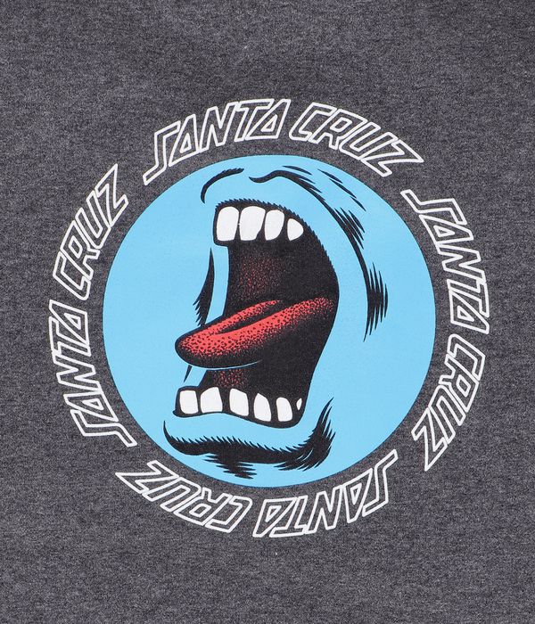 Etnies x Santa Cruz Screaming Hand Hoodie (charcoal)