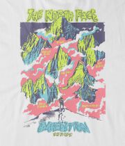 The North Face Expedition Celebration Oversized T-Shirt (tnf white)