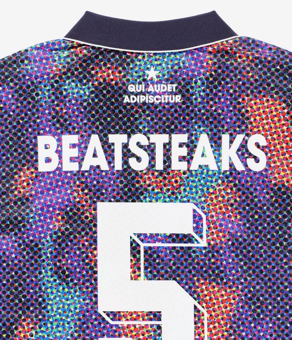 Iriedaily x Beatsteaks Jersey T-Shirt (multi color)