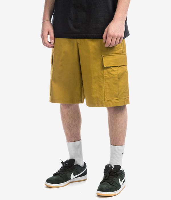 Nike SB Kearny Cargo Pantaloncini (bronzine)
