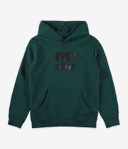 DC Star Hoodie kids (ponderosa pine)
