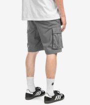 The North Face Anticline Cargo Shorts (smo)