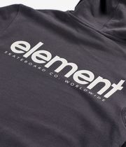 Element Simple Logo Hoodie (off black)