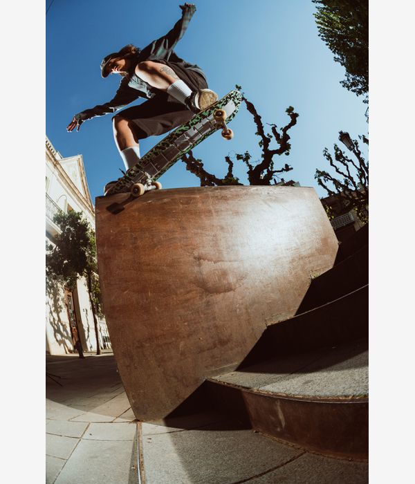 skatedeluxe Application 8" Tavola da skateboard (multi)