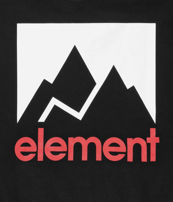 Element Joint 2.0 Felpa Hoodie (flint black)