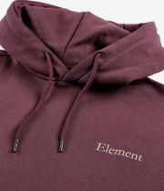 Element x Smokey Bear Prevent Hoodie (decadent chocolate)