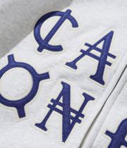 Cash Only Currency Zip-Hoodie (ash)