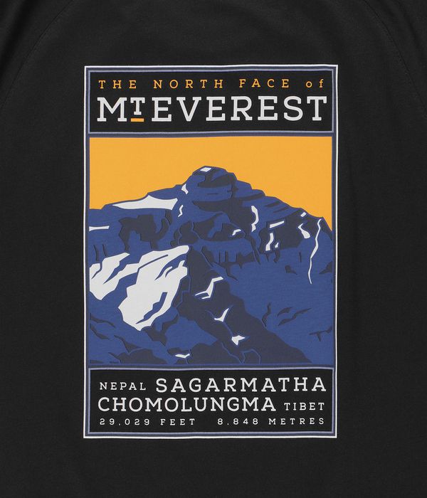 The North Face North Faces Camiseta (black)