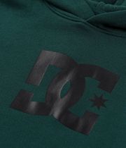 DC Star Hoodie kids (ponderosa pine)