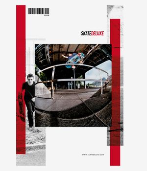skatedeluxe Skateboard Montageanleitung Gratisbeilage