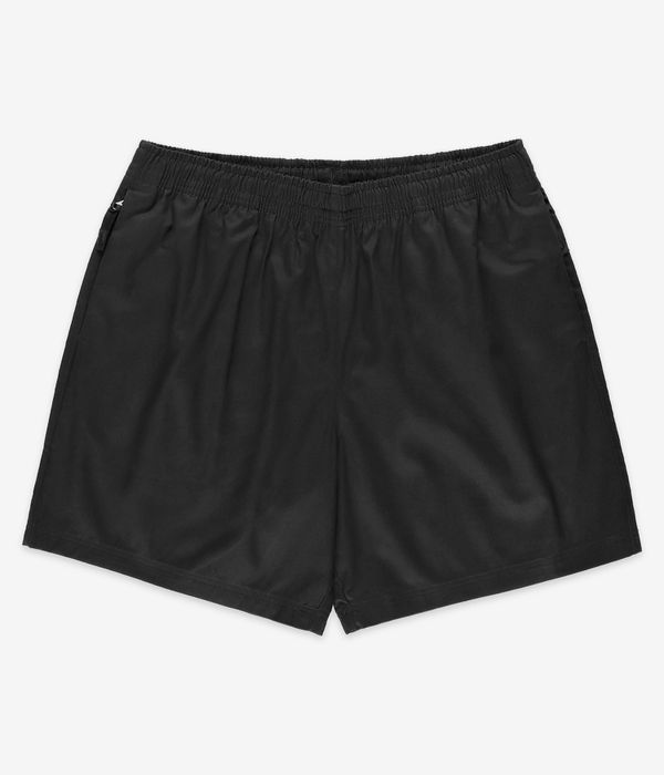 Nike SB Skyring Shorts (black)