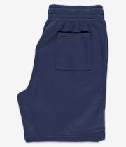 Nike SB GFX Shorts (midnight navy gym red)