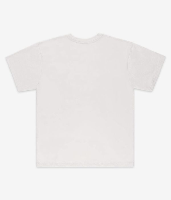 skatedeluxe Goa Sol Organic T-Shirty (light grey)