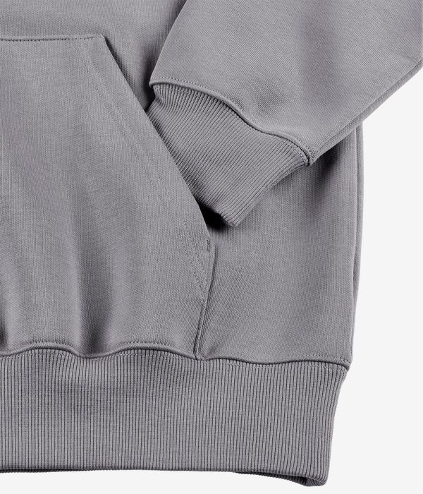 Carhartt WIP Basic sweat à capuche (yosemite disco)