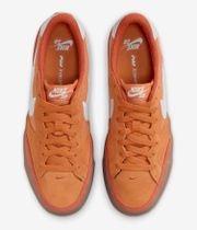 Nike SB Pogo Plus Chaussure (monarch summit white)