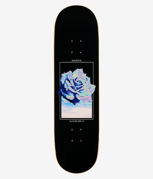 skatedeluxe Rose 8.5" Tabla de skate (black)