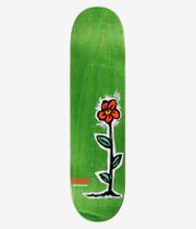 Real Regrowth 8.06" Planche de skateboard (multi)