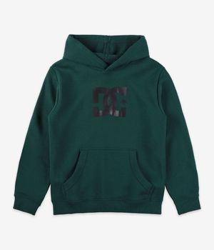 DC Star Hoodie kids (ponderosa pine)