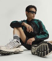adidas Skateboarding Adistar Control 5 Schuh (white grey chamet)