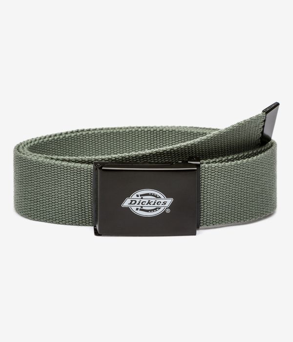 Dickies Orcutt Gürtel (sea spray)
