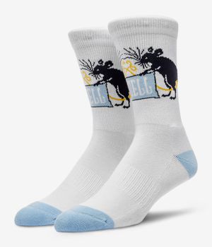 Anuell Rodocks Socken US 6-13 (white)