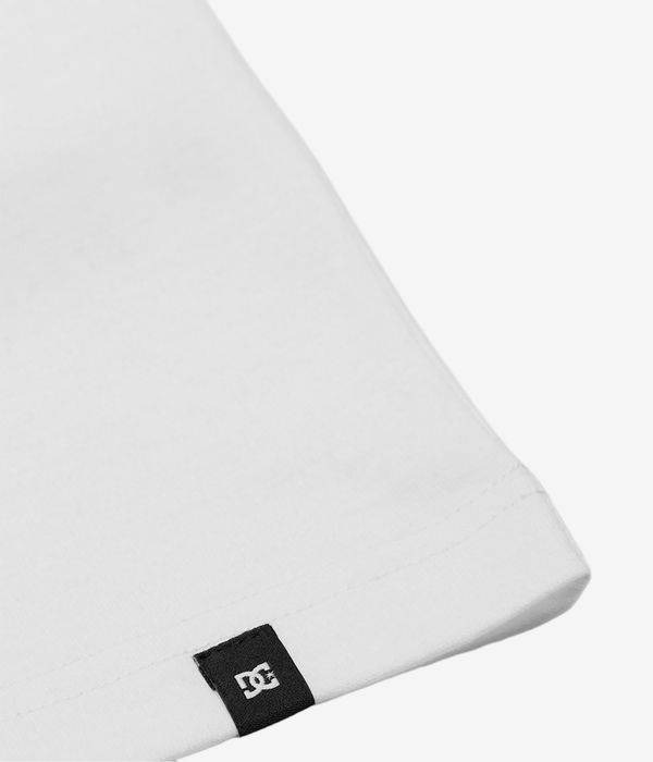 DC Painted Van T-Shirt (white)