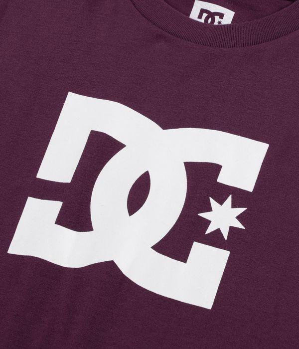 DC Star HSS T-Shirt (fig)