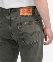 Levi's 555 Relaxed Straight Jeans (coast agave od)