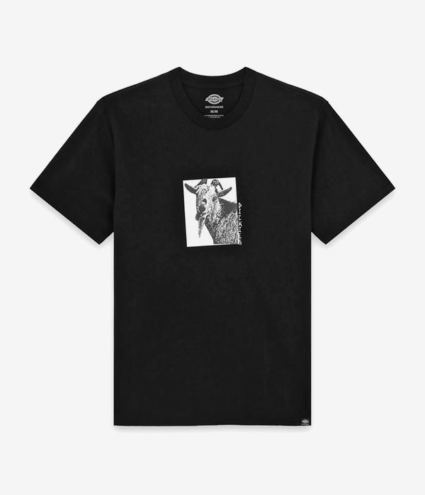 Dickies x Mike Anderson Graphik T-Shirt (black)