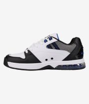 DC Versatile Shoes (white black blue)