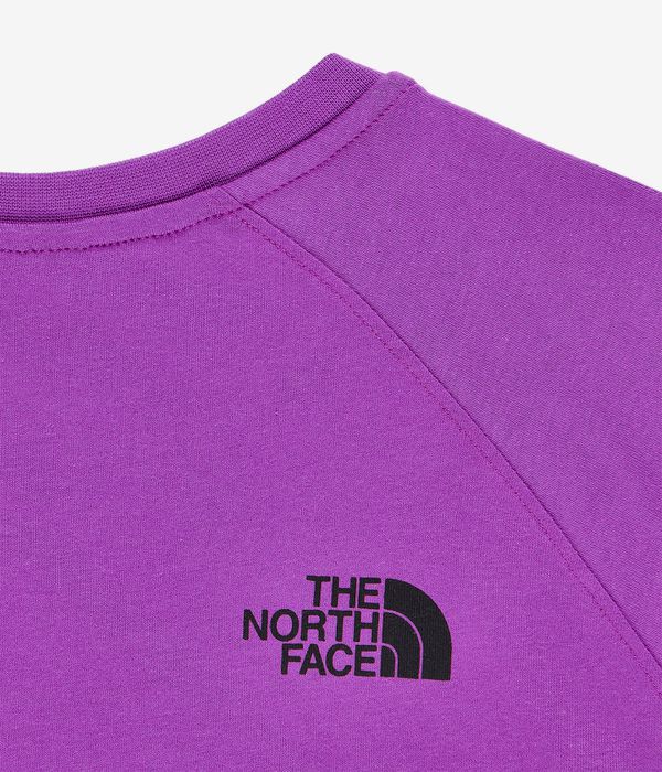 The North Face Raglan Redbox T-Shirt (purple cactus flower)
