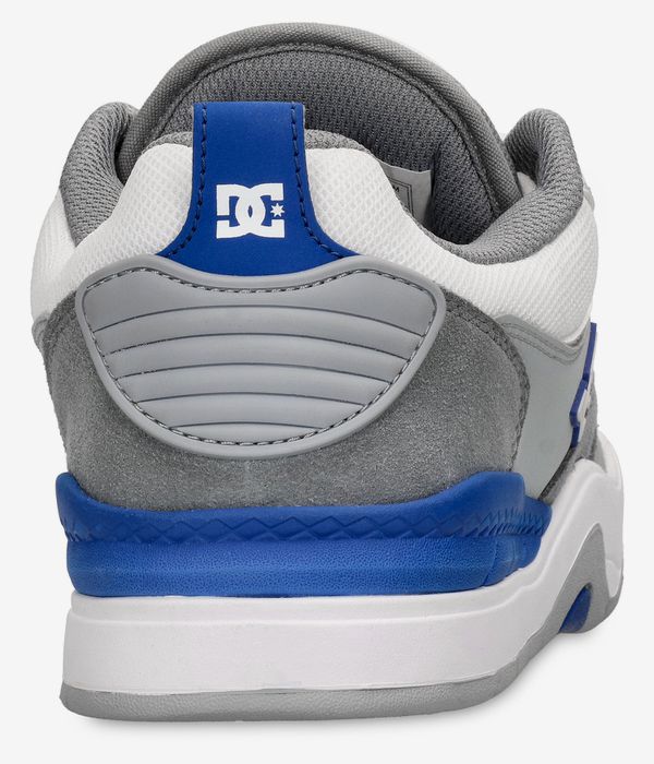 DC Ascend Shoes (white grey blue)