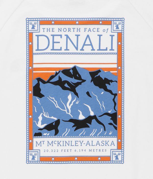 The North Face North Faces T-Shirty (white II)