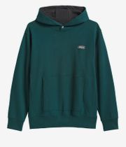 adidas Gonz Graph Hoodie (aurora ivy black)